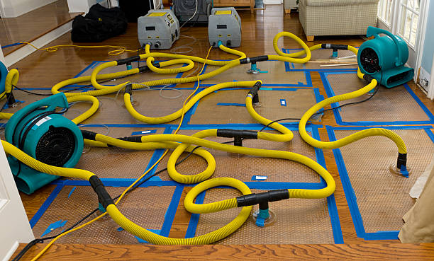 Professional Sewage Cleanup technician working in Saratoga Springs, UT